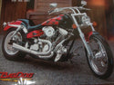 FOR BIG DOG MOTORCYCLES CHROME FORK DUST CAP SET FITS 