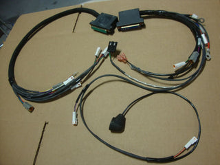 BIG DOG MOTORCYCLES MAIN WIRING HARNESS 2005 CHOPPER DT 