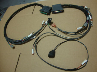 BIG DOG MOTORCYCLES MAIN WIRING HARNESS 2005 PITBULL POWER &