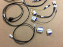 BIG DOG MOTORCYCLES OEM 2003 DUAL TANK MODELS MAIN WIRING 