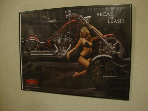 BIG DOG MOTORCYCLES OEM 2007 SALES BROCHURE POSTER K-9