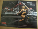 BIG DOG MOTORCYCLES OEM 2007 SALES BROCHURE POSTER K-9