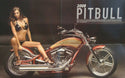 FOR BIG DOG MOTORCYCLES BANDED FOOT PEG SET 2004-UP FULL SET