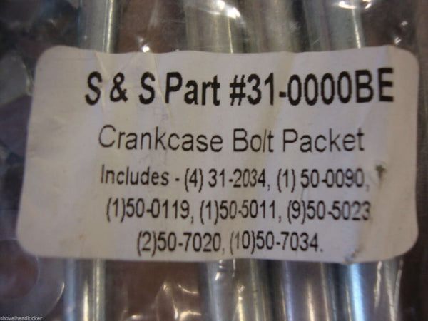S&S CYCLE CRANKCASE BOLT KIT #31-0000BE OEM 2000-11 BIG DOG 