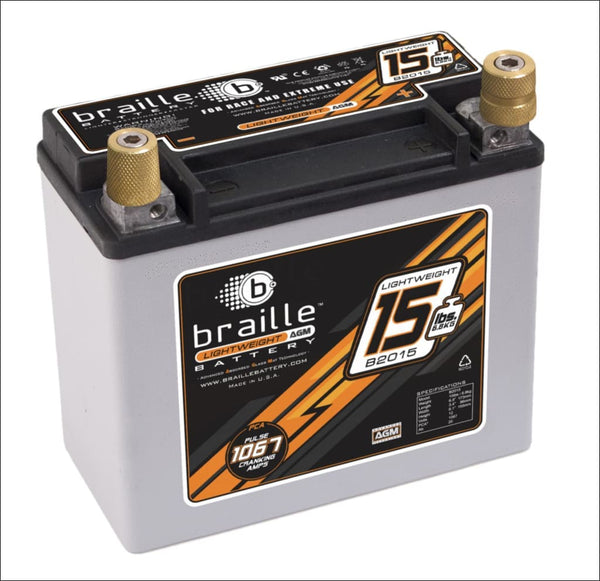 FITS BIG DOG MOTORCYCLES 12V BATTERY - eBay Motors:Parts & 